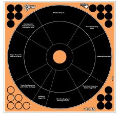 ALLEN EZ AIM 12"X12" HG TRAINER 5PK