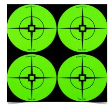 BIRCHWOOD CASEY TARGET SPOTS GREEN 40-3"