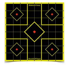 BIRCHWOOD CASEY SHOOT-N-C SIGHT IN TARGET 15-8"