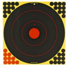 BIRCHWOOD CASEY SHOOT-N-C BULLSEYE TARGET 5-17.25"