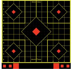 BIRCHWOOD CASEY SHOOT-N-C SIGHT-IN TARGET 12-12"