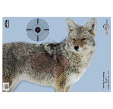 BIRCHWOOD CASEY PREGAME COYOTE TARGET 3-16.5X24