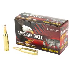 Federal American Eagle Varmint & Predator 243 Winchester 75Gr JHP 40rd