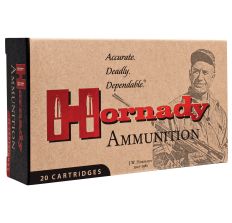 Hornady Custom 300 Blackout 110Gr CX 20rd