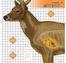 Champion Deer X-Ray 25x25 Target 6Pk