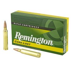 Remington 300 Winchester Magnum 180Gr PSP 20rd