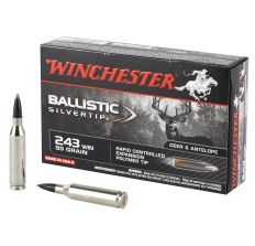 Winchester Ammunition Ballistic Silvertip 243 Winchester 95Gr Polymer Tip 20rd